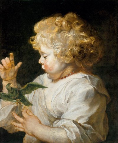 Boy with Bird by Peter Paul Rubens